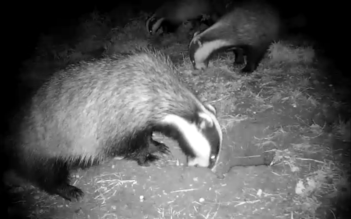 Screen Shot 2013-09-08 at 00.45.50