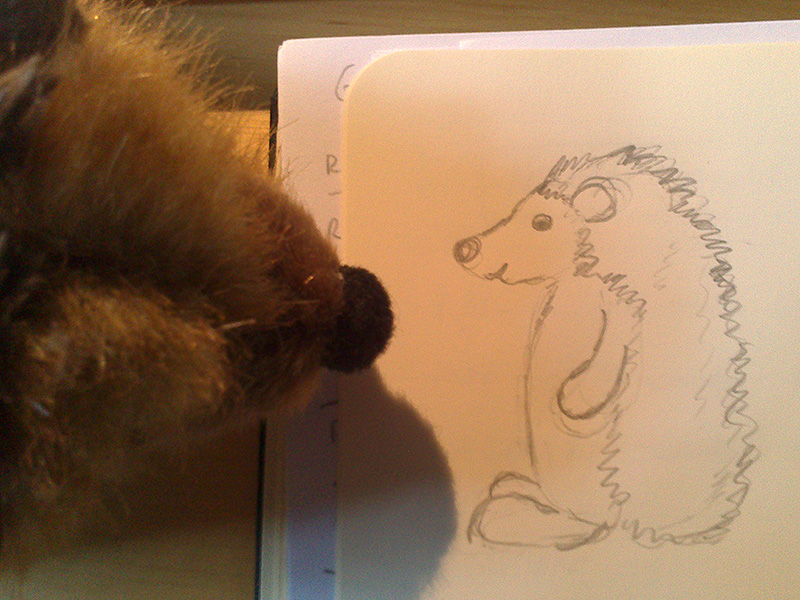 hedgehog sketch