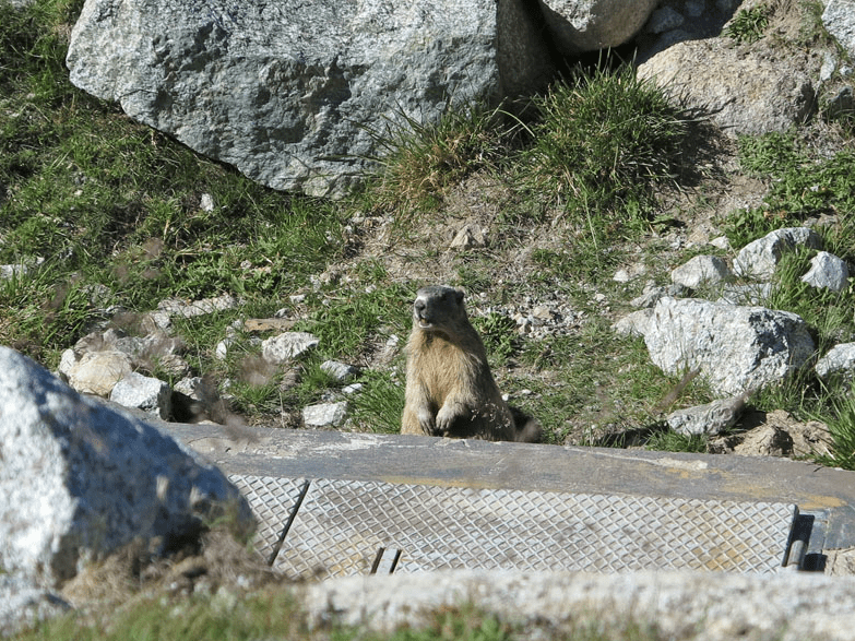 Screen Shot 2014-02-04 at 17.18.22