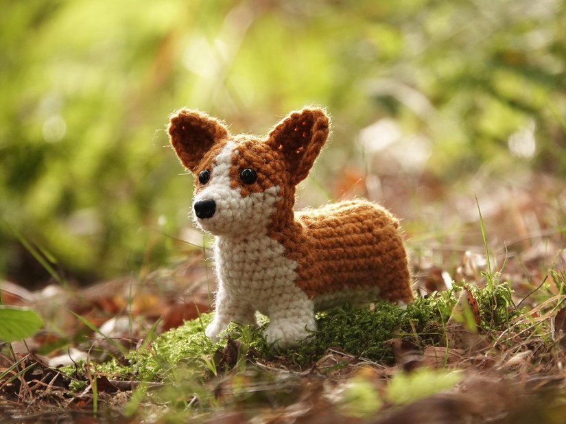 amigurumi corgi puppy